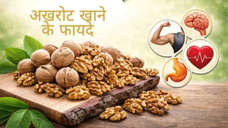 अखरोट खाने के फायदे (Akhrot Khane Ke Fayde): अखरोट के लाभ और नुकसान