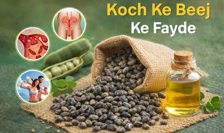 Koch Ke Beej Ke Fayde: पुरुष शक्ति और सेहत के लिए आयुर्वेदिक लाभ
