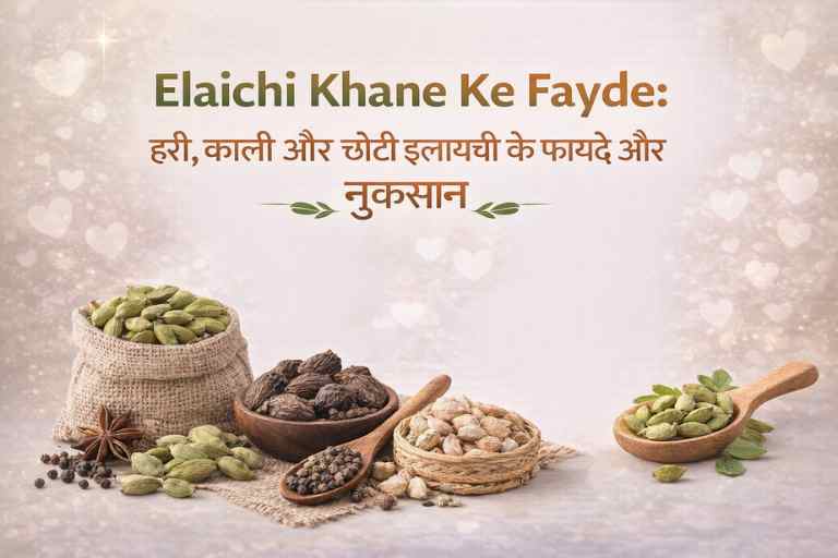 Elaichi Khane Ke Fayde: हरी, काली और छोटी इलायची के फायदे और नुकसान