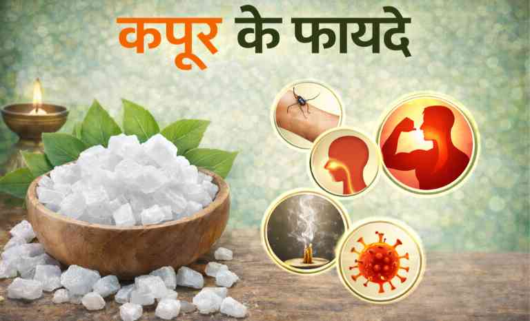 कपूर के फायदे (kapoor ke fayde): भीमसेनी कपूर के फायदे और उपयोग की पूरी जानकारी