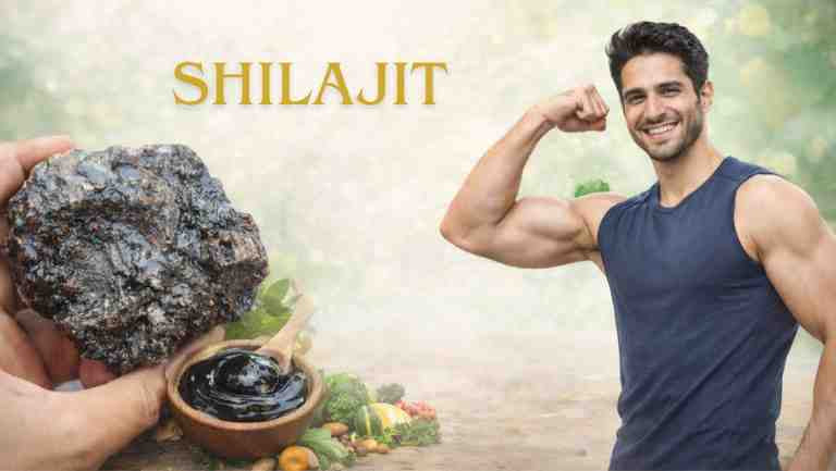 Shilajit Khane Ke Fayde: ताकत, स्टैमिना और सेहत के लिए शिलाजीत के लाभ और नुकसान